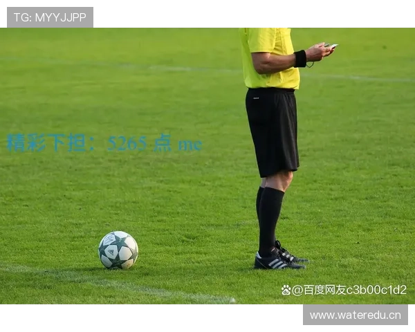 开云官网体育直播覆盖多项热门体育赛事满足不同用户需求