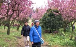 广东湛江到贵阳自驾游攻略 贵州自驾游攻略5-7天